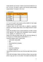 Referāts 'Fast food - ātrās uzkodas', 11.