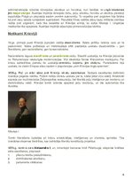 Konspekts 'Eiropas valstis 19.gadsimtā', 6.