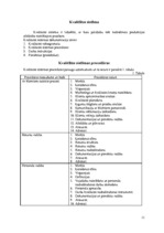 Referāts 'Kvalitātes vadības sistēma uzņēmumā', 11.