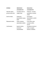 Referāts 'Emīls Dāvids Dirkheims', 5.