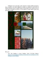 Eseja 'Latvija sajūtās un izjūtās', 4.