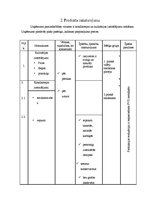 Referāts 'Nozares un produkta analīze', 5.