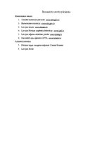 Referāts 'Nozares un produkta analīze', 15.