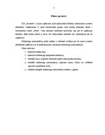 Referāts 'Mārketinga komunikāciju plāns SIA "Suvenīrs"', 3.