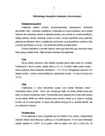 Referāts 'Mārketinga komunikāciju plāns SIA "Suvenīrs"', 5.