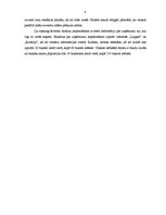 Referāts 'Mārketinga komunikāciju plāns SIA "Suvenīrs"', 6.