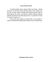 Referāts 'Mārketinga komunikāciju plāns SIA "Suvenīrs"', 7.