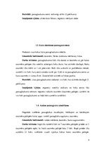 Referāts 'Meža taksācija', 4.