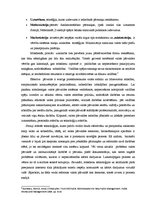 Eseja 'Mūsdienu valsts pārvaldes reformu iezīmes', 2.