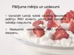 Referāts 'Latvijas vājpiena biezpiens studentu uzturā', 23.