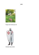 Referāts 'Krusta karu norise Latvijas teritorijā', 13.