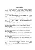 Eseja 'Biškopības nozares apskats', 4.