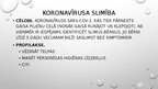 Prezentācija 'Higiēnas prasības pirmsskolas izglītības iestādēm un epidemioloģija', 19.