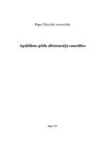 Konspekts 'Apsildāmo grīdu siltumnesēju caurulītes', 1.