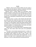Referāts 'Mežierīcība', 2.