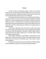 Referāts 'Mežierīcība', 14.