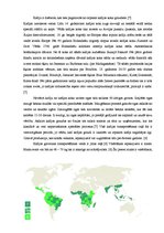 Referāts 'Kafijas transportēšanas sistēma', 2.