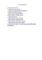 Referāts 'Kafijas transportēšanas sistēma', 6.