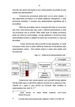 Referāts 'Valsts un pašvaldību privatizēto daudzdzīvokļu namu apsaimniekošanas problēmas', 19.