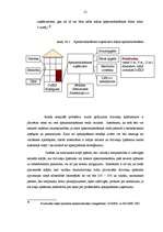 Referāts 'Valsts un pašvaldību privatizēto daudzdzīvokļu namu apsaimniekošanas problēmas', 21.