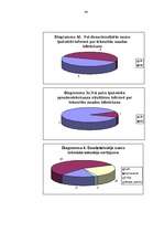Referāts 'Valsts un pašvaldību privatizēto daudzdzīvokļu namu apsaimniekošanas problēmas', 44.