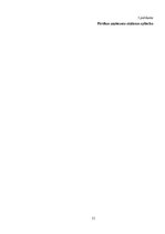 Referāts 'SIA "X" loģistikas sistēmas novērtējums', 11.