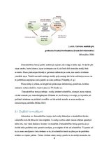 Referāts 'Dienaskārtības teorijas analīze', 6.