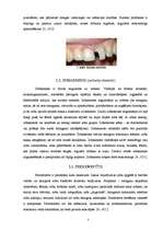 Referāts 'Mutes dobuma higiēna, izplatītākās zobu slimības un to cēloņi', 7.