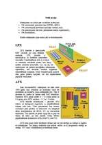 Referāts 'Mātesplates', 6.
