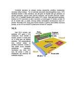 Referāts 'Mātesplates', 7.