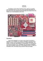 Referāts 'Mātesplates', 13.