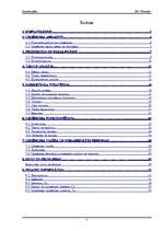 Biznesa plāns 'SIA "Fotostils" biznesa plāns', 2.