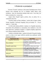 Biznesa plāns 'SIA "Fotostils" biznesa plāns', 7.