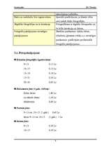 Biznesa plāns 'SIA "Fotostils" biznesa plāns', 8.