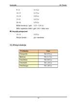 Biznesa plāns 'SIA "Fotostils" biznesa plāns', 10.