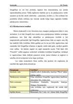 Biznesa plāns 'SIA "Fotostils" biznesa plāns', 12.