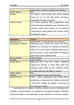 Biznesa plāns 'SIA "Fotostils" biznesa plāns', 13.