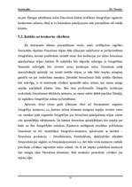 Biznesa plāns 'SIA "Fotostils" biznesa plāns', 17.