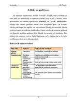 Biznesa plāns 'SIA "Fotostils" biznesa plāns', 29.