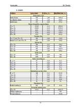 Biznesa plāns 'SIA "Fotostils" biznesa plāns', 33.