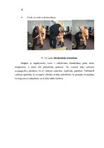 Referāts 'Bīstamas ķīmiskas vielas', 10.