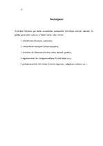 Referāts 'Bīstamas ķīmiskas vielas', 11.