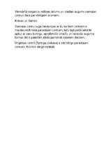 Konspekts 'Pēteris Upītis - ceriņu maestro', 10.