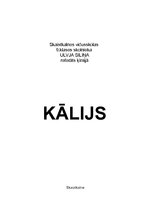 Referāts 'Kālijs', 6.