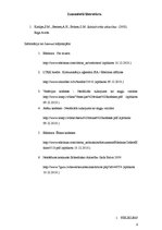 Referāts 'Sabiedrisko attiecību ētikas kodeksu pielietošanas prakse Komunikāciju aģentūras', 6.