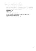 Referāts 'Mazvērtības komplekss jauniešu vecumposmā', 24.