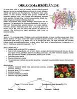 Konspekts 'Organisma iekšējā vide. Asinis, limfa', 1.