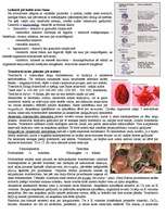 Konspekts 'Organisma iekšējā vide. Asinis, limfa', 3.