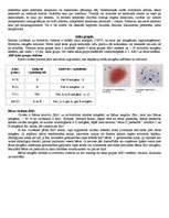 Konspekts 'Organisma iekšējā vide. Asinis, limfa', 4.