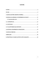 Referāts 'Izlīgums kā krimināltiesiskā konflikta risināšanas veids', 2.